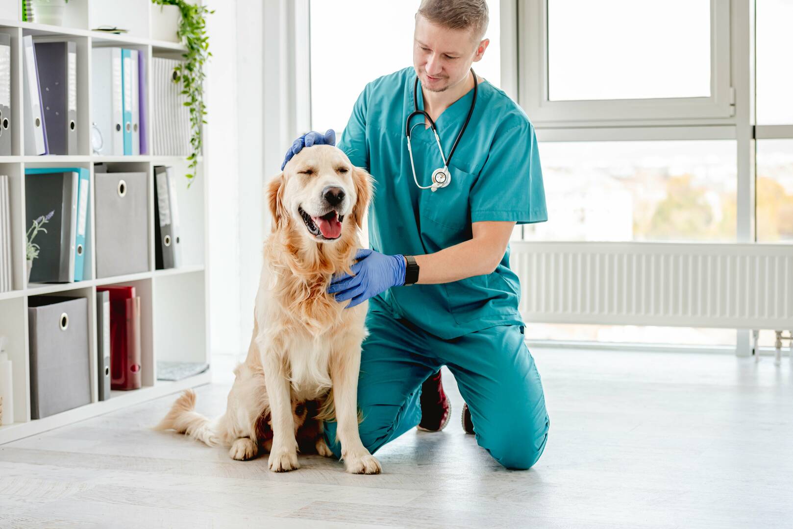 Veterinary Specialty & Emergency Care West - Open 24 Hours